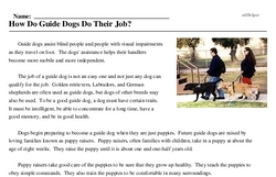 Print <i>How Do Guide Dogs Do Their Job?</i> reading comprehension.