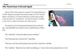 Print <i>The Mysterious Colossal Squid</i> reading comprehension.