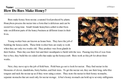 Print <i>How Do Bees Make Honey?</i> reading comprehension.