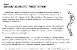 Print <i>Vertebrate Classification: Phylum Chordata</i> reading comprehension.