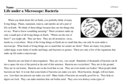 Print <i>Life under a Microscope: Bacteria</i> reading comprehension.