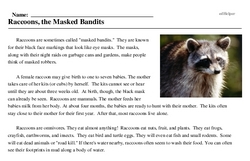 Print <i>Raccoons, the Masked Bandits</i> reading comprehension.