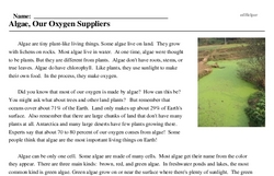 Print <i>Algae, Our Oxygen Suppliers</i> reading comprehension.