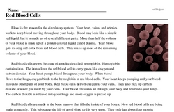 Print <i>Red Blood Cells</i> reading comprehension.