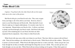 Print <i>White Blood Cells</i> reading comprehension.