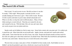 Print <i>The Secret Life of Seeds</i> reading comprehension.