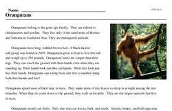 Print <i>Orangutans</i> reading comprehension.