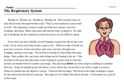 Print <i>The Respiratory System</i> reading comprehension.