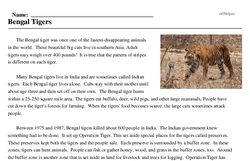 Print <i>Bengal Tigers</i> reading comprehension.