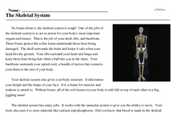 Print <i>The Skeletal System</i> reading comprehension.