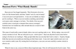 Print <i>Raccoon Paws: What Handy Hands!</i> reading comprehension.