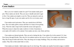 Print <i>Corn Snakes</i> reading comprehension.
