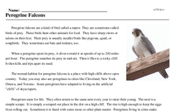 Print <i>Peregrine Falcons</i> reading comprehension.