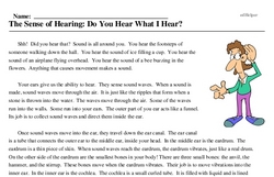 Print <i>The Sense of Hearing: Do You Hear What I Hear?</i> reading comprehension.