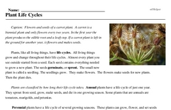 Print <i>Plant Life Cycles</i> reading comprehension.