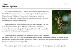 Print <i>Banana Spiders</i> reading comprehension.