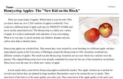 Print <i>Honeycrisp Apples- The 