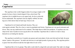 Print <i>Capybaras</i> reading comprehension.