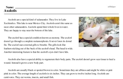 Print <i>Axolotls</i> reading comprehension.