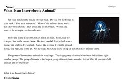 Print <i>What Is an Invertebrate Animal?</i> reading comprehension.