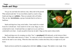 Print <i>Snails and Slugs</i> reading comprehension.