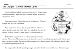 Print <i>The Oxygen - Carbon Dioxide Cycle</i> reading comprehension.