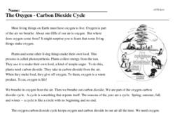 Print <i>The Oxygen - Carbon Dioxide Cycle</i> reading comprehension.