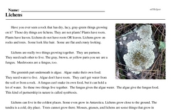 Print <i>Lichens</i> reading comprehension.