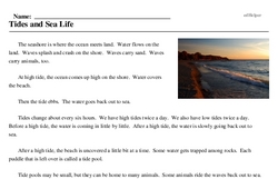 Print <i>Tides and Sea Life</i> reading comprehension.