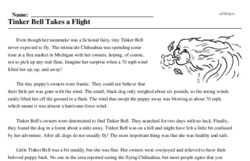 Print <i>Tinker Bell Takes a Flight</i> reading comprehension.