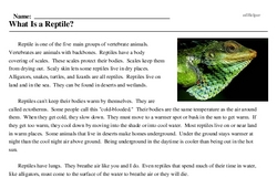 Print <i>What Is a Reptile?</i> reading comprehension.