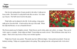 Print <i>Tulips</i> reading comprehension.