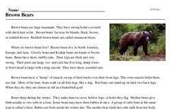 Print <i>Brown Bears</i> reading comprehension.