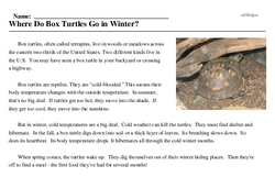 Print <i>Where Do Box Turtles Go in Winter?</i> reading comprehension.