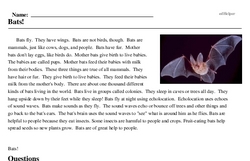 Print <i>Bats!</i> reading comprehension.