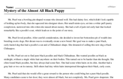 Print <i>Mystery of the Almost All Black Puppy</i> reading comprehension.