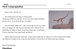 Print <i>Meet <i>Compsognathus</i></i> reading comprehension.