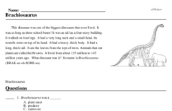 Print <i><i>Brachiosaurus</i></i> reading comprehension.