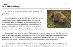 Print <i>Is It a Groundhog?</i> reading comprehension.