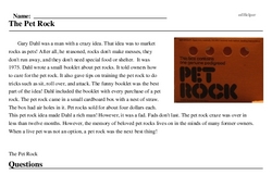 Print <i>The Pet Rock</i> reading comprehension.