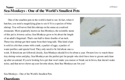 Print <i>Sea-Monkeys - One of the World's Smallest Pets</i> reading comprehension.