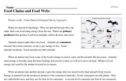 Print <i>Food Chains and Food Webs</i> reading comprehension.