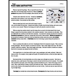 Food Chains and Food Webs - Reading Comprehension ...