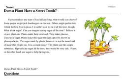 Print <i>Does a Plant Have a Sweet Tooth?</i> reading comprehension.