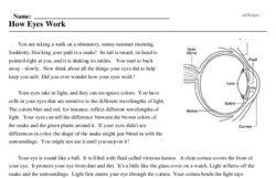 Print <i>How Eyes Work</i> reading comprehension.