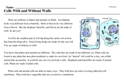 Print <i>Cells With and Without Walls</i> reading comprehension.