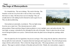 Print <i>The Steps of Photosynthesis</i> reading comprehension.