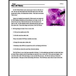 The Cell Theory - Reading Comprehension Worksheet | edHelper