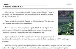 Print <i>What Do Plants Eat?</i> reading comprehension.