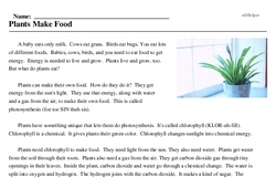Print <i>Plants Make Food</i> reading comprehension.
